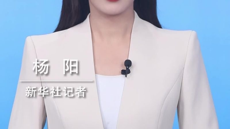 企业级数据服务硬件：如何选择合适的品牌**